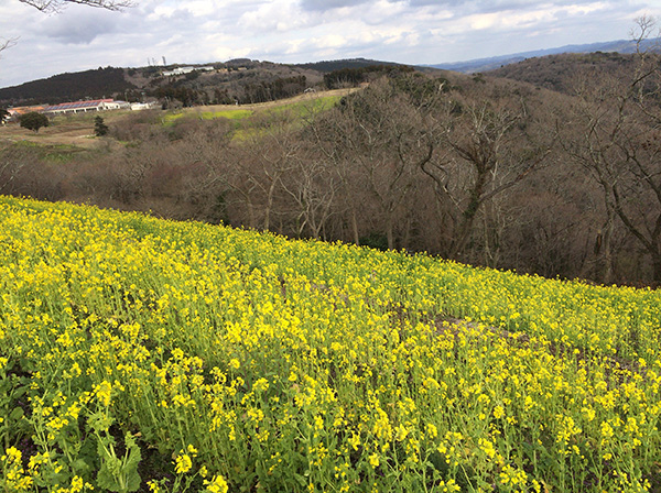 blog-shn-20180312-14