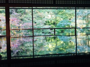 52789170.fcfaa77daaeac1a8b6bcfd148965c2bf.19111022