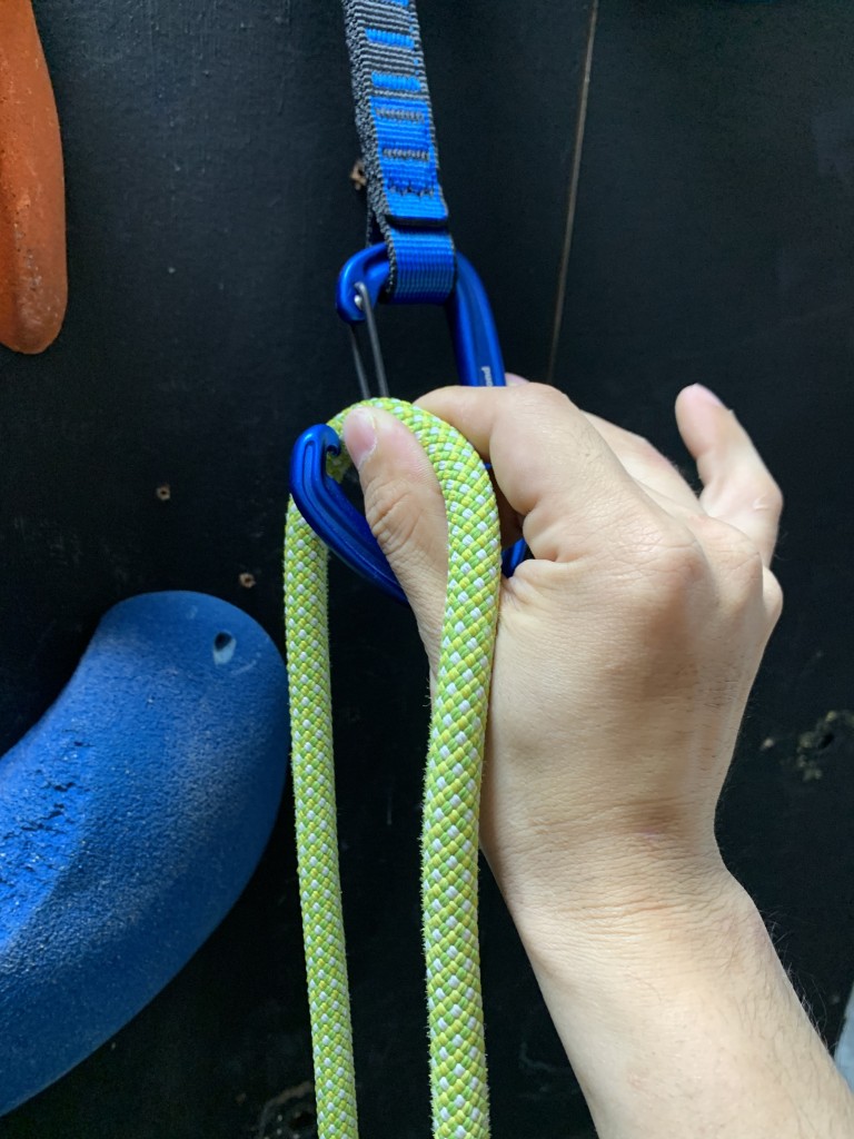 写真 2021-11-08 19 32 18