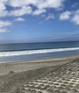 img_kukuru_202211_01