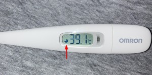 blog_kukuru_202304_01