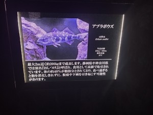 IMG_20231216_110654_R