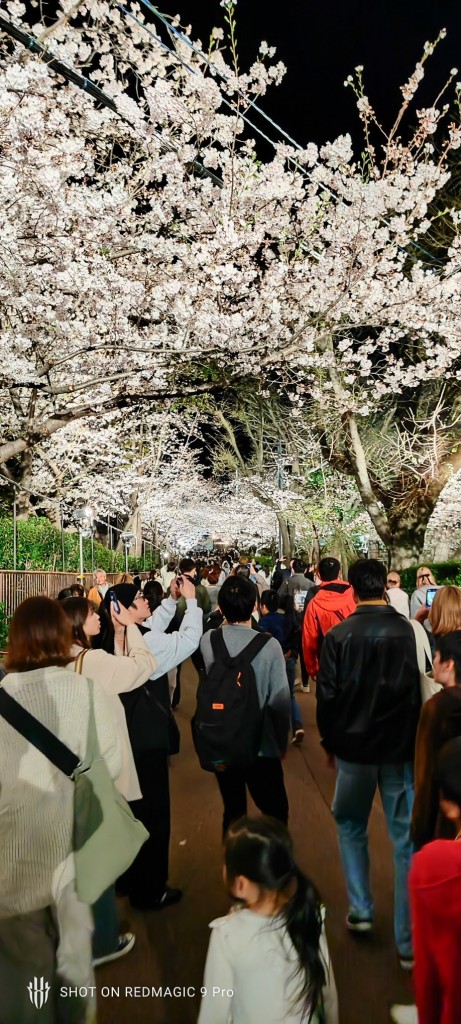 IMG_20240405_195901~2