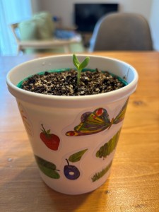 img-kukuru-202408-22