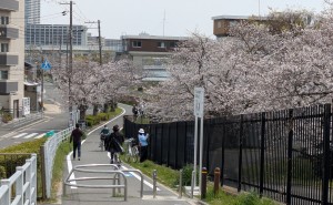 PXL_20250405_040545775