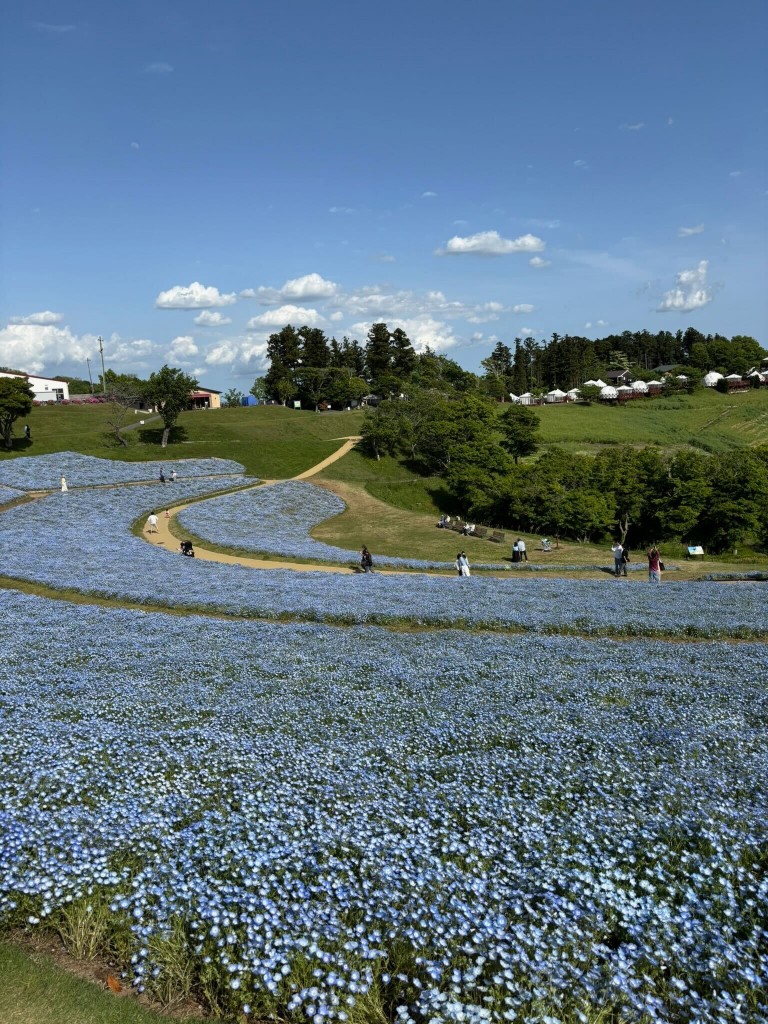 img-kukuru-20250611-03