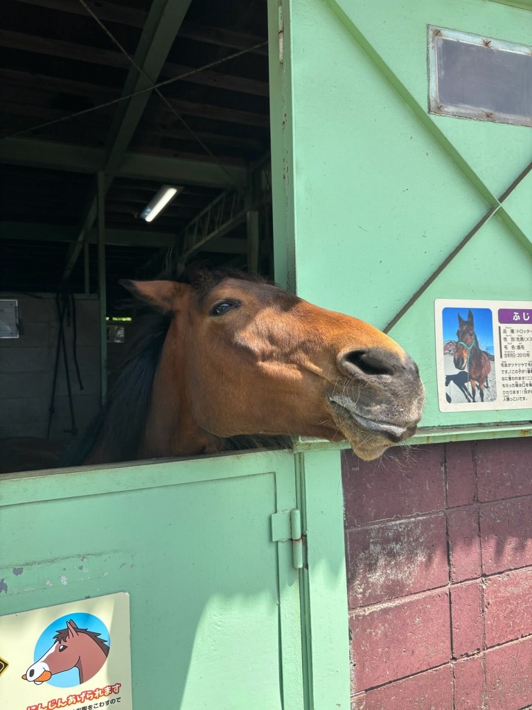 img-kukuru-20250611-04