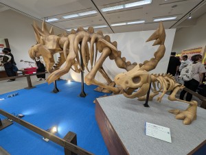 PXL_20251012_062431825